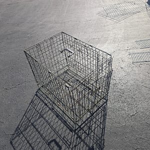 Folding Animal Crate